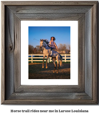 horse trail rides near me in Larose, Louisiana